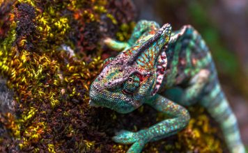 Điểm tin ngày 17.8.2018